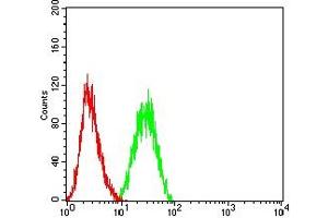 Flow cytometric analysis of THP-1 cells using CD34 mouse mAb (green) and negative control (red). (CD34 antibody  (AA 32-290))