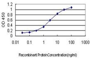 Detection limit for recombinant GST tagged RANBP5 is approximately 0. (Importin 5 antibody  (AA 1-100))
