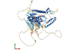 AlphaFold protein structure predicition of Mouse Recombinant Atg9b Protein, UniprotID Q6EBV9