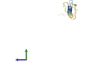 Protein Structure (PS) image for FXYD Domain Containing Ion Transport Regulator 7 (FXYD7) (AA 1-80) protein (Fc Tag) (ABIN7547858)