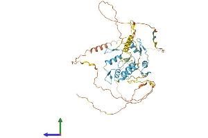 AlphaFold protein structure predicition of Mouse Recombinant Maz Protein, UniprotID P56671