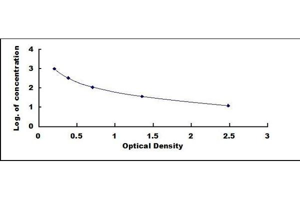 GLP-1 ELISA Kit