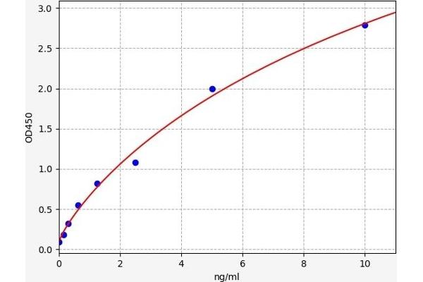 PCK1 ELISA Kit