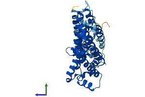 AlphaFold protein structure predicition of Human Recombinant TM6SF1 Protein, UniprotID Q9BZW5 (TM6SF1 Protein (AA 1-370) (His tag))
