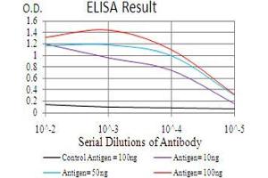 Black line: Control Antigen (100 ng), Purple line: Antigen(10 ng), Blue line: Antigen (50 ng), Red line: Antigen (100 ng), (BMP2 antibody  (AA 283-396))