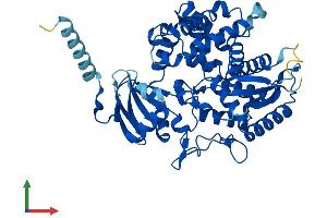 AlphaFold protein structure predicition of Human Recombinant CYP7A1 Protein, UniprotID P22680 (CYP7A1 Protein (AA 1-504) (His tag))