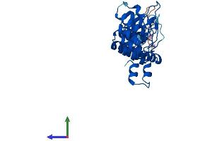 AlphaFold protein structure predicition of Human Recombinant ASB13 Protein, UniprotID Q8WXK3