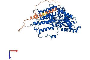GAD Protein (AA 1-594) (His tag)
