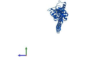 AlphaFold protein structure predicition of Human Recombinant RPL7 Protein, UniprotID P18124 (RPL7 Protein (AA 1-248) (His tag))