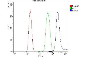 Flow Cytometry analysis of K562 cells using anti-HOXB9 antibody (ABIN7602119). (HOXB9 antibody  (AA 6-184))