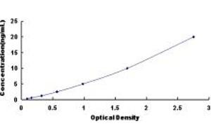 LPCAT2 ELISA Kit