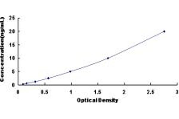 LPCAT2 ELISA Kit