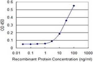 Detection limit for recombinant GST tagged RPLP0 is 1 ng/ml as a capture antibody. (RPLP0 antibody  (AA 1-317))