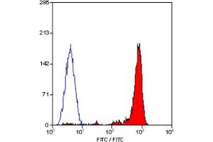 Staining of human peripheral blood lymphocytes with RAT ANTI HUMAN CD18 (Integrin beta 2 antibody)