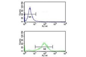 RAB7 antibody flow cytometry analysis of K562 cells (bottom histogram) compared to a negative control (top histogram).