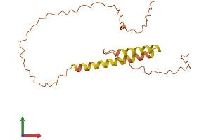 Protein Structure (PS) image for Chromosome 21 Open Reading Frame 128 (C21ORF128) (AA 1-162) protein (His tag) (ABIN7545008)