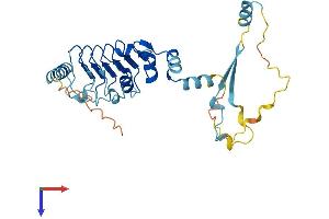 Leucine Rich Repeat Containing 72 (LRRC72) (AA 1-287) protein (His tag)