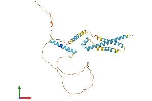 AlphaFold protein structure predicition of Human Recombinant CAMLG Protein, UniprotID P49069 (CAMLG Protein (AA 1-296) (His tag))