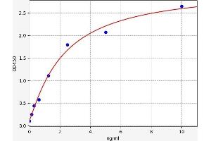 SLC27A4 ELISA Kit