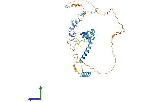 Protein Structure (PS) image for PIN2/TERF1 Interacting, Telomerase Inhibitor 1 (PINX1) (AA 1-328) protein (His tag) (ABIN7550736)