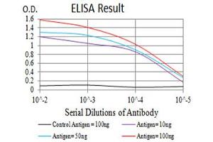 Black line: Control Antigen (100 ng),Purple line: Antigen (10 ng), Blue line: Antigen (50 ng), Red line:Antigen (100 ng) (P2RY14 antibody)