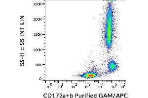 Flow cytometry analysis (surface staining) of human peripheral blood cells with anti-human CD172a/b (SE5A5) purified, GAM-APC. (CD172a/b antibody)