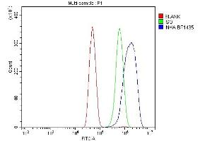 Flow Cytometry analysis of SiHa cells using anti-Inhibin alpha/INHA antibody (ABIN7600932). (Inhibin alpha antibody  (AA 254-366))