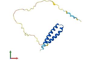 AlphaFold protein structure predicition of Mouse Recombinant Cdk2ap2 Protein, UniprotID Q9CPY4
