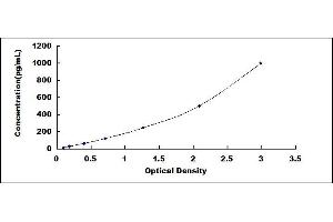 Typical standard curve (LAMC2 ELISA Kit)