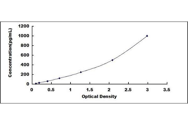 LAMC2 ELISA Kit