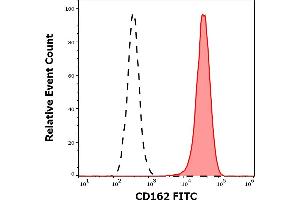 Separation of HUVEC cells (red-filled) from HEK-293 cells (black-dashed) in flow cytometry analysis (surface staining) of cellular suspensions stained using anti-human CD105 (MEM-229) FITC antibody (20 μL reagent per million cells in 100 μL of cell suspension). (Endoglin antibody  (FITC))