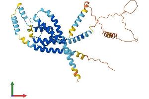 AlphaFold protein structure predicition of Human Recombinant KCNK18 Protein, UniprotID Q7Z418