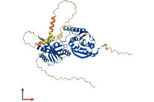 Protein Structure (PS) image for THUMP Domain Containing 3 (THUMPD3) (AA 1-507) protein (His tag) (ABIN7544376)