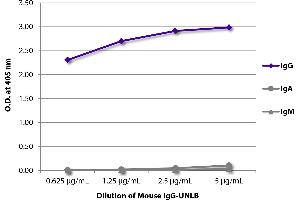 ELISA plate was coated with serially diluted Mouse IgG-UNLB and quantified. (Mouse IgG Isotype Control)