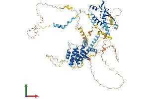 AlphaFold protein structure predicition of Human Recombinant SPIRE2 Protein, UniprotID Q8WWL2 (SPIRE2 Protein (AA 1-714) (His tag))