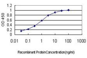 Detection limit for recombinant GST tagged ZWINT is approximately 0. (ZWINT antibody  (AA 1-277))