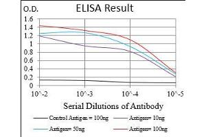 Black line: Control Antigen (100 ng), Purple line: Antigen(10 ng), Blue line: Antigen (50 ng), Red line: Antigen (100 ng), (PIK3 gamma antibody  (AA 1-100))