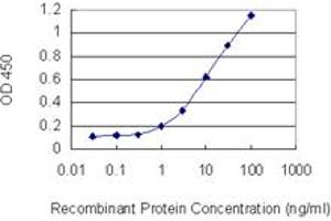 Detection limit for recombinant GST tagged PSMD4 is 0. (PSMD4/ASF antibody  (AA 1-110))