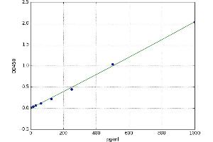 Calcyclin Binding Protein (CACYBP) ELISA Kit
