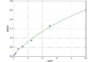 Caspase 12 (Gene/pseudogene) (CASP12) ELISA Kit