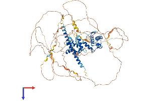 REPS1 Protein (AA 1-795) (His tag)