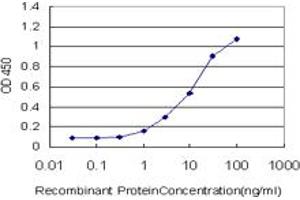 Detection limit for recombinant GST tagged TAOK2 is approximately 1ng/ml as a capture antibody. (TAO Kinase 2 antibody  (AA 831-930))