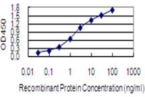 Detection limit for recombinant GST tagged BLOC1S2 is 0. (BLOC1S2 antibody  (AA 1-142))