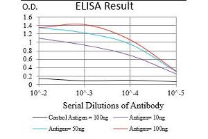 Black line: Control Antigen (100 ng), Purple line: Antigen(10 ng), Blue line: Antigen (50 ng), Red line: Antigen (100 ng), (PTPN1 antibody  (AA 40-246))