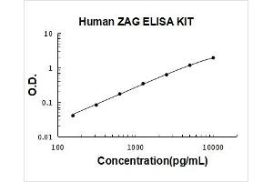 alpha-2-Glycoprotein 1, Zinc-Binding (AZGP1) ELISA Kit