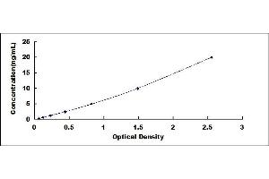 Typical standard curve