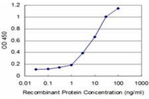 Detection limit for recombinant GST tagged PHF1 is approximately 0. (PHF1 antibody  (AA 2-100))