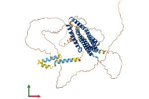 Protein Structure (PS) image for Family with Sequence Similarity 114, Member A1 (FAM114A1) (AA 1-563) protein (His tag) (ABIN7550118)