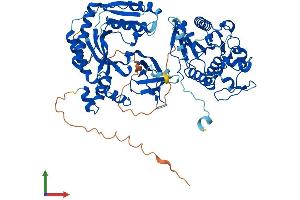 Protein Structure (PS) image for Cbl-Interacting Protein Sts-1 (STS1) (AA 1-649) protein (His tag) (ABIN7555929)