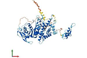 AlphaFold protein structure predicition of Human Recombinant PGBD4 Protein, UniprotID Q96DM1 (PGBD4 Protein (AA 1-585) (His tag))